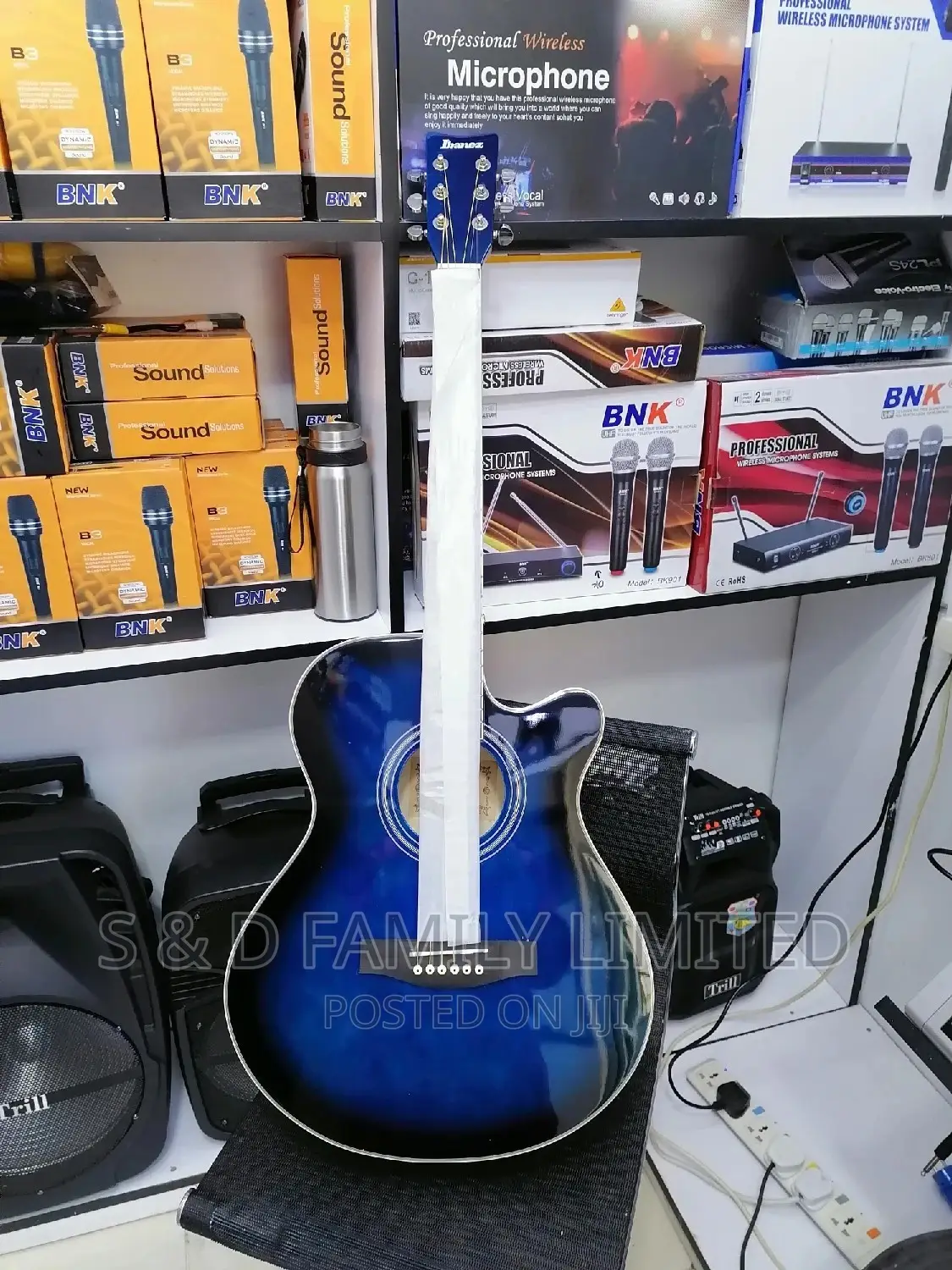 Ibanez Acoustic Guitar