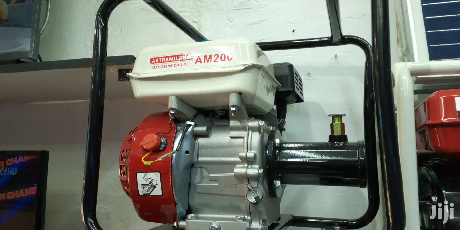 Astramilano Gasoline Engine Poker Vibrator