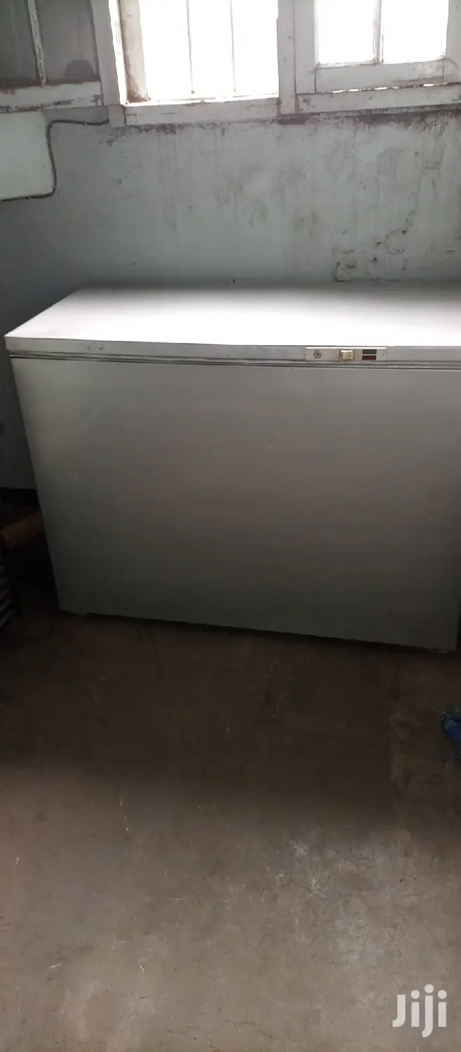 Deep Freezer 300L