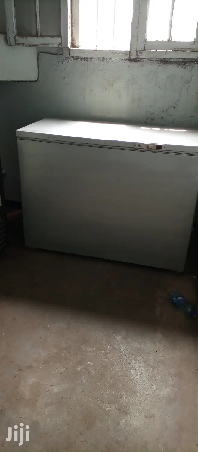 Deep Freezer 300L