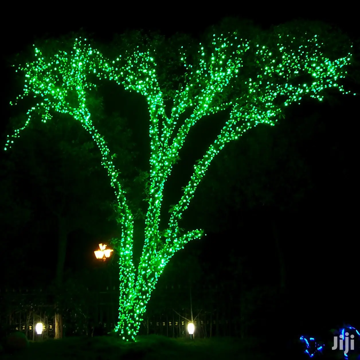 LED Green Fairy Lights With 8 Functions