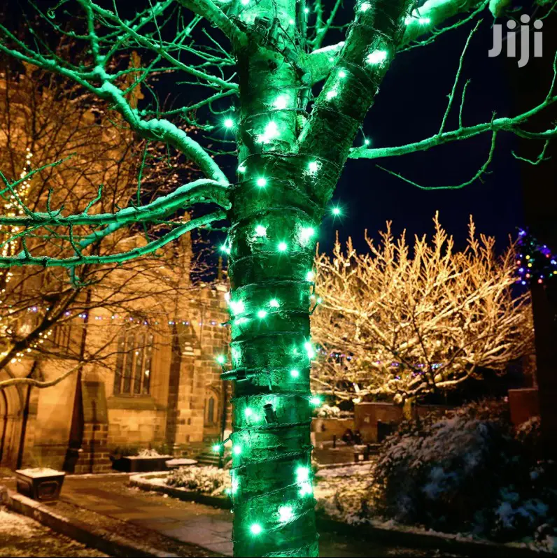 LED Green Fairy Lights With 8 Functions