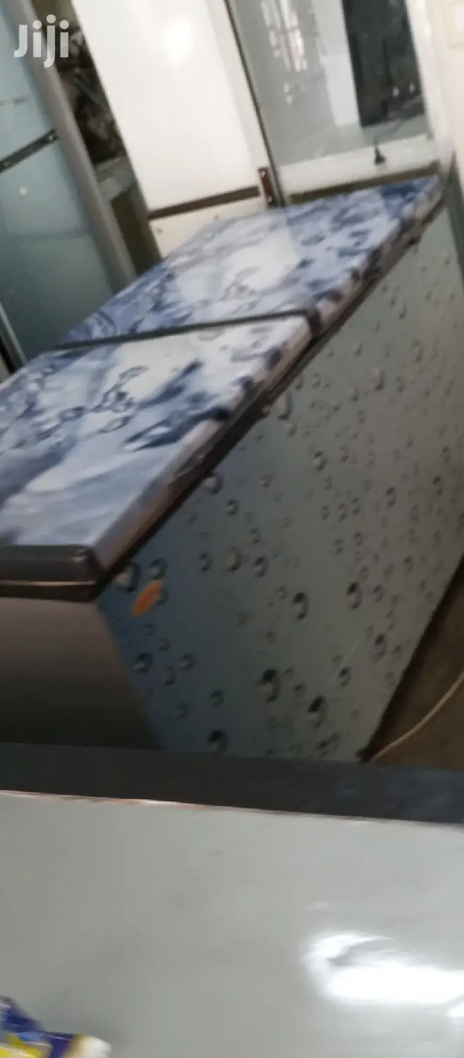 Double Door Freezer