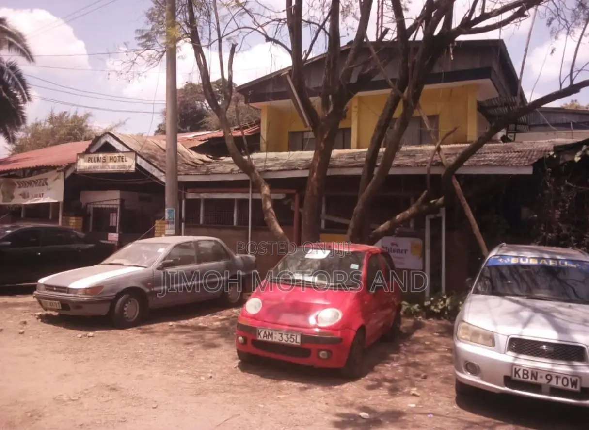 Plums Hotel for Sale