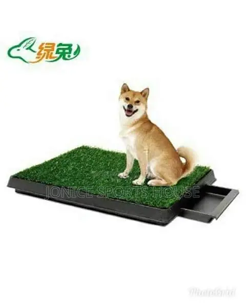 Pet Potty Mat