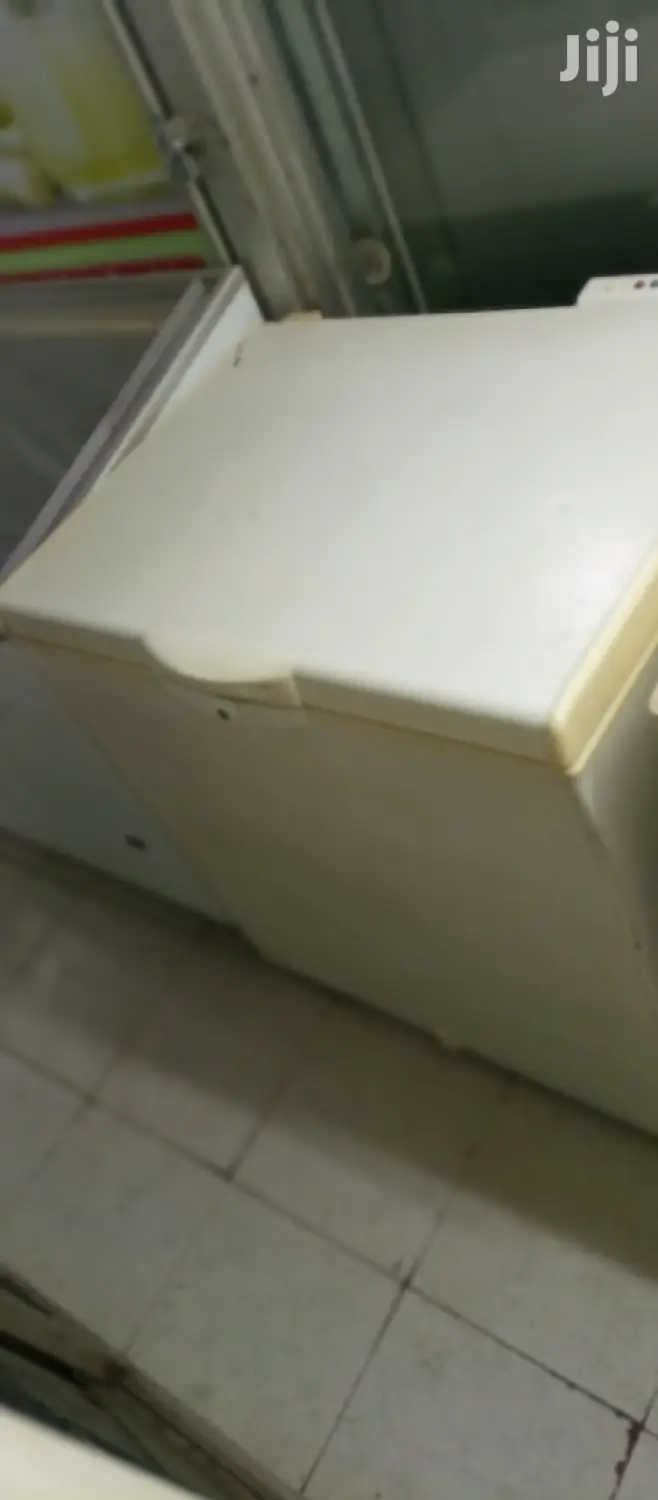 Deep Freezer 245L