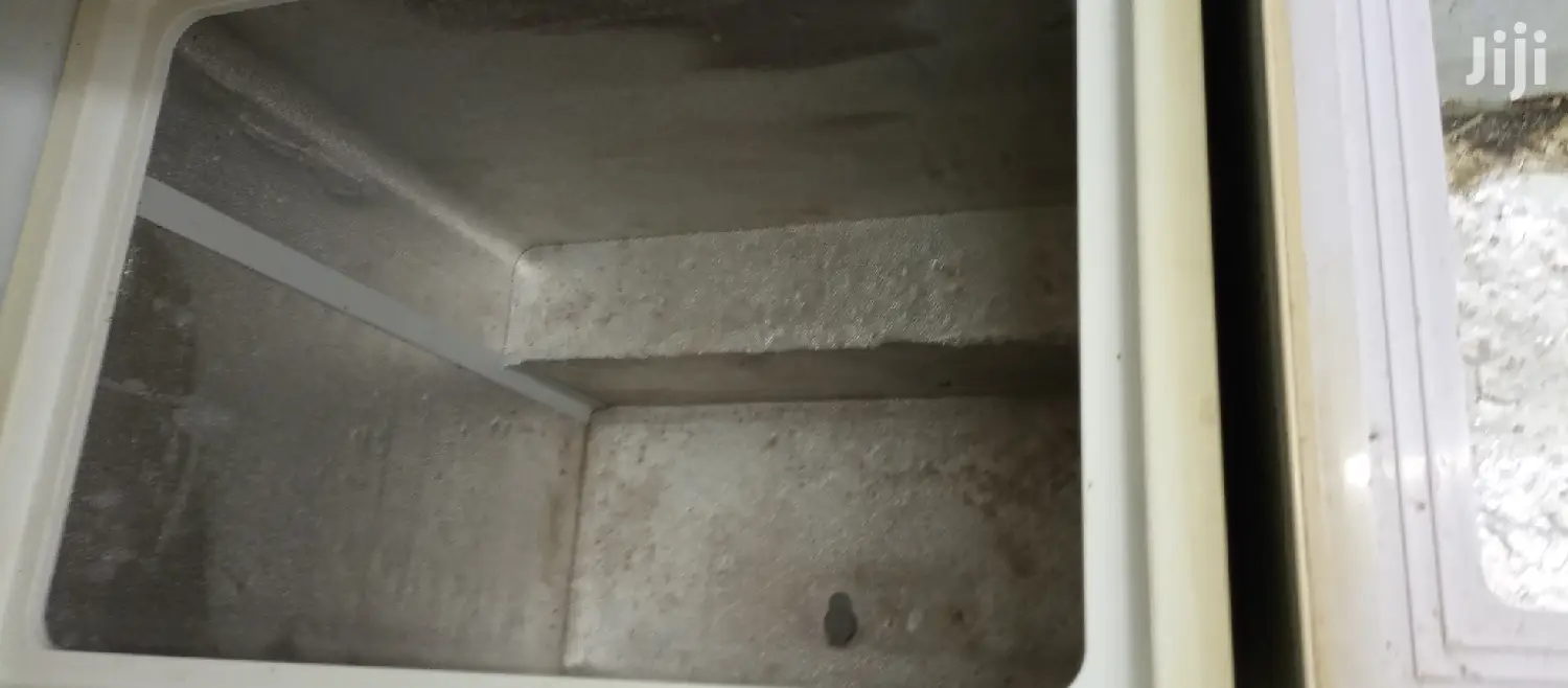 Deep Freezer 245L