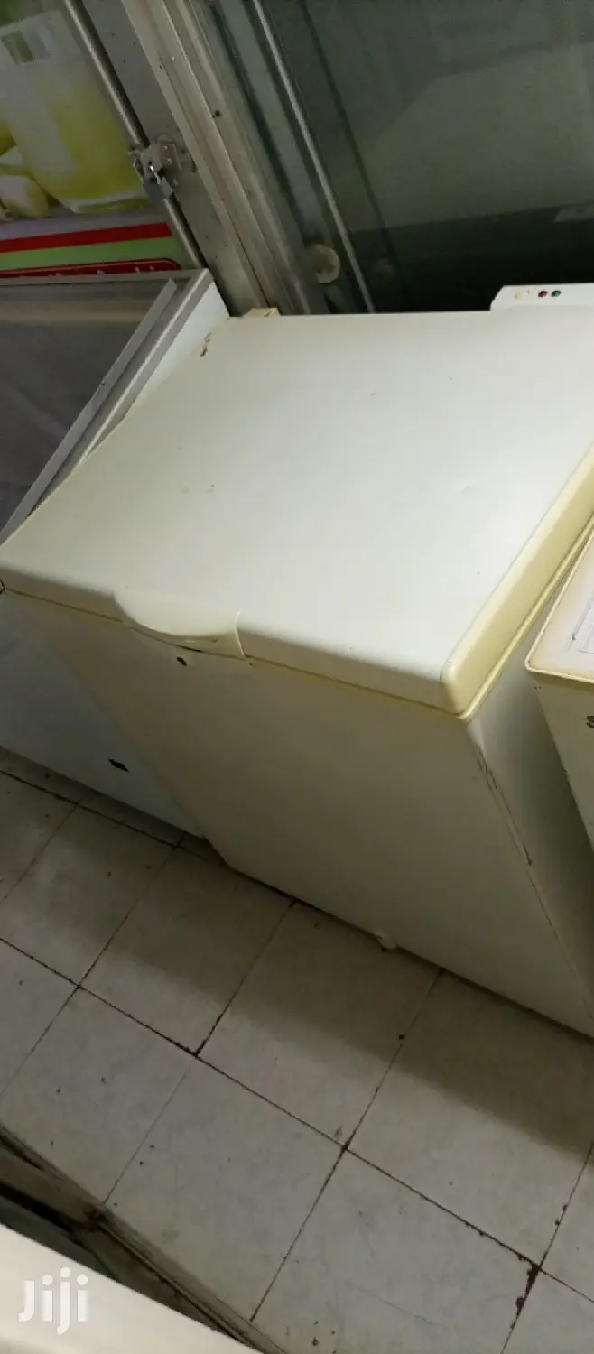 Deep Freezer 245L
