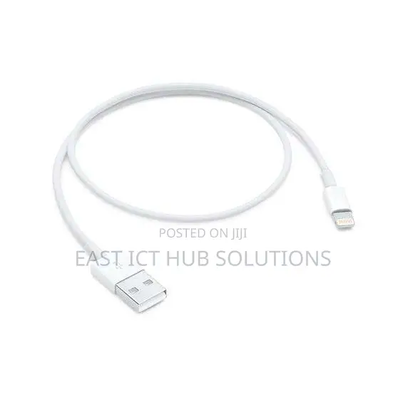 iPhone USB Charger Lightning To USB Cable