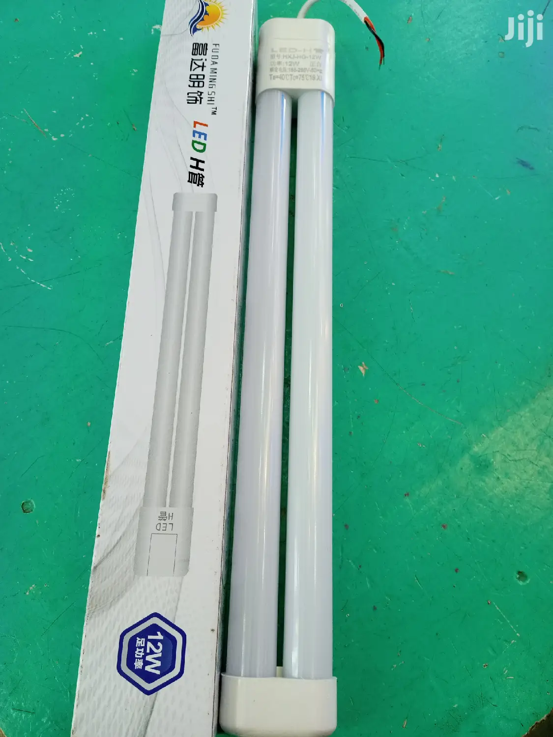 12wart Pl Bulbs