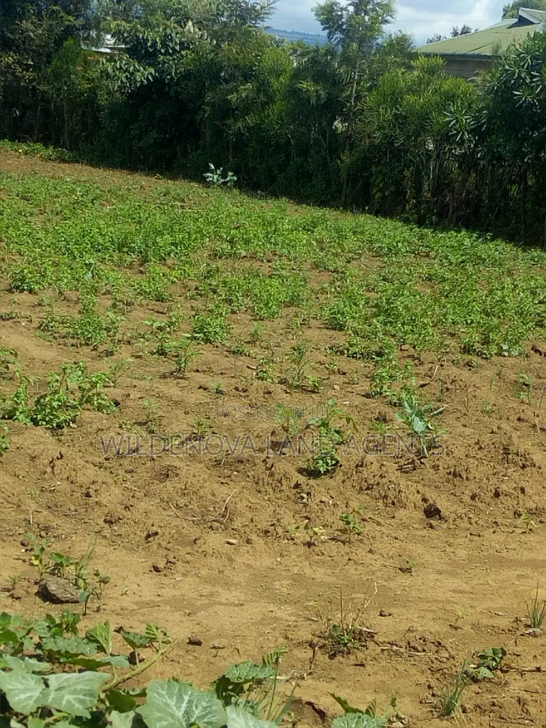 Plot on Sale at Kimende Kiambu