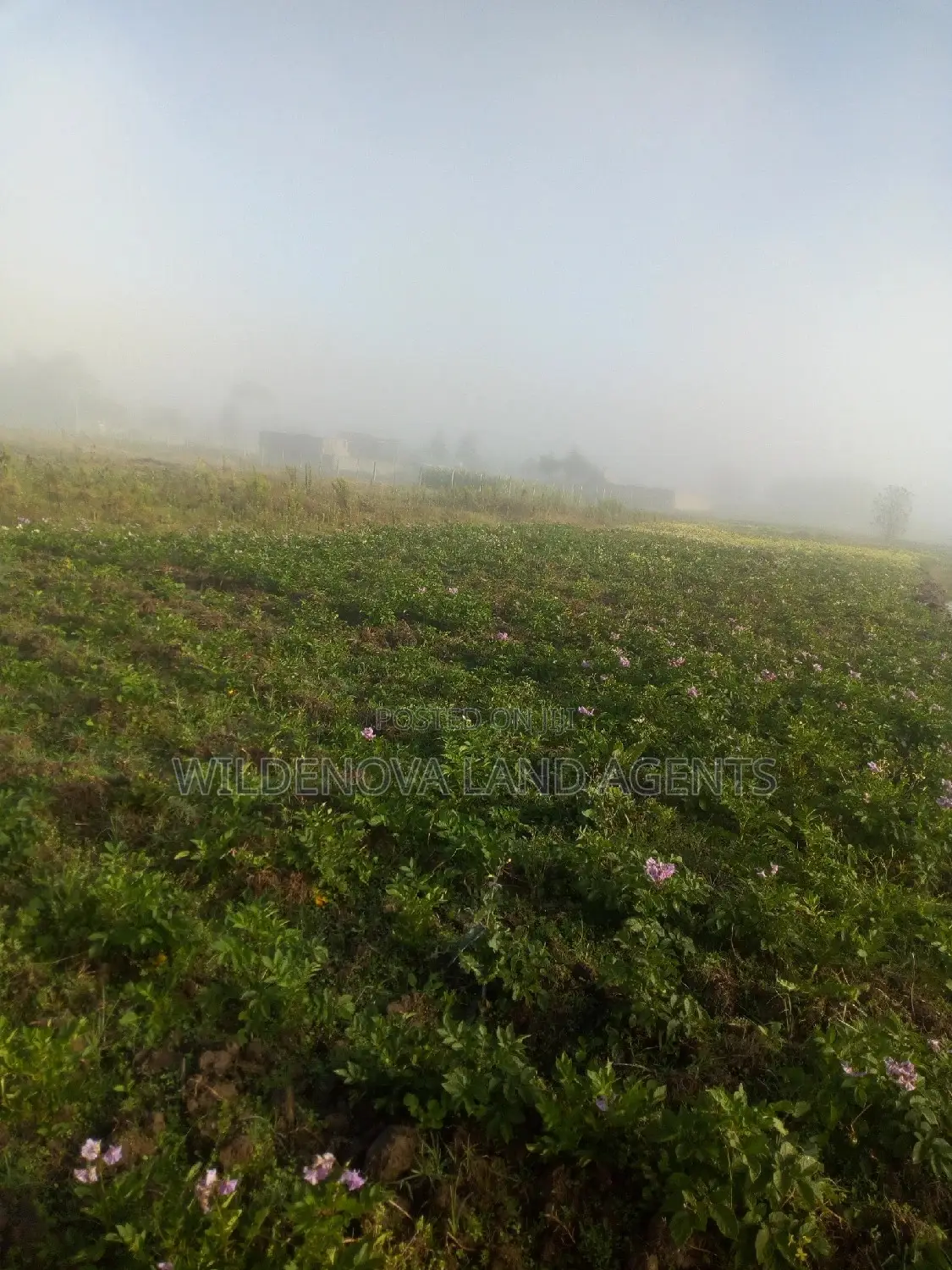 Plote on Sale at Mtonyora Kinangop