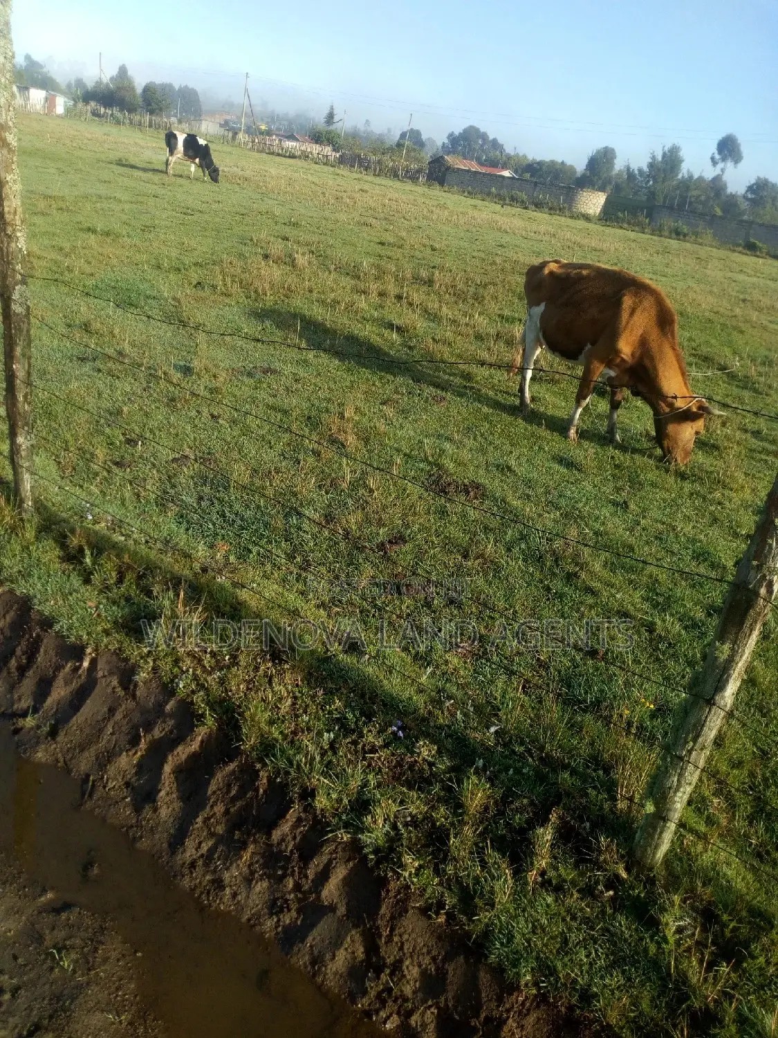 Plote on Sale at Mtonyora Kinangop