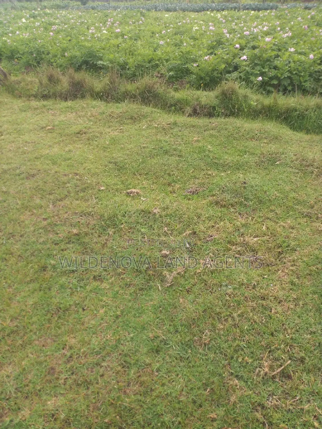 Plot on Sale at Magumu