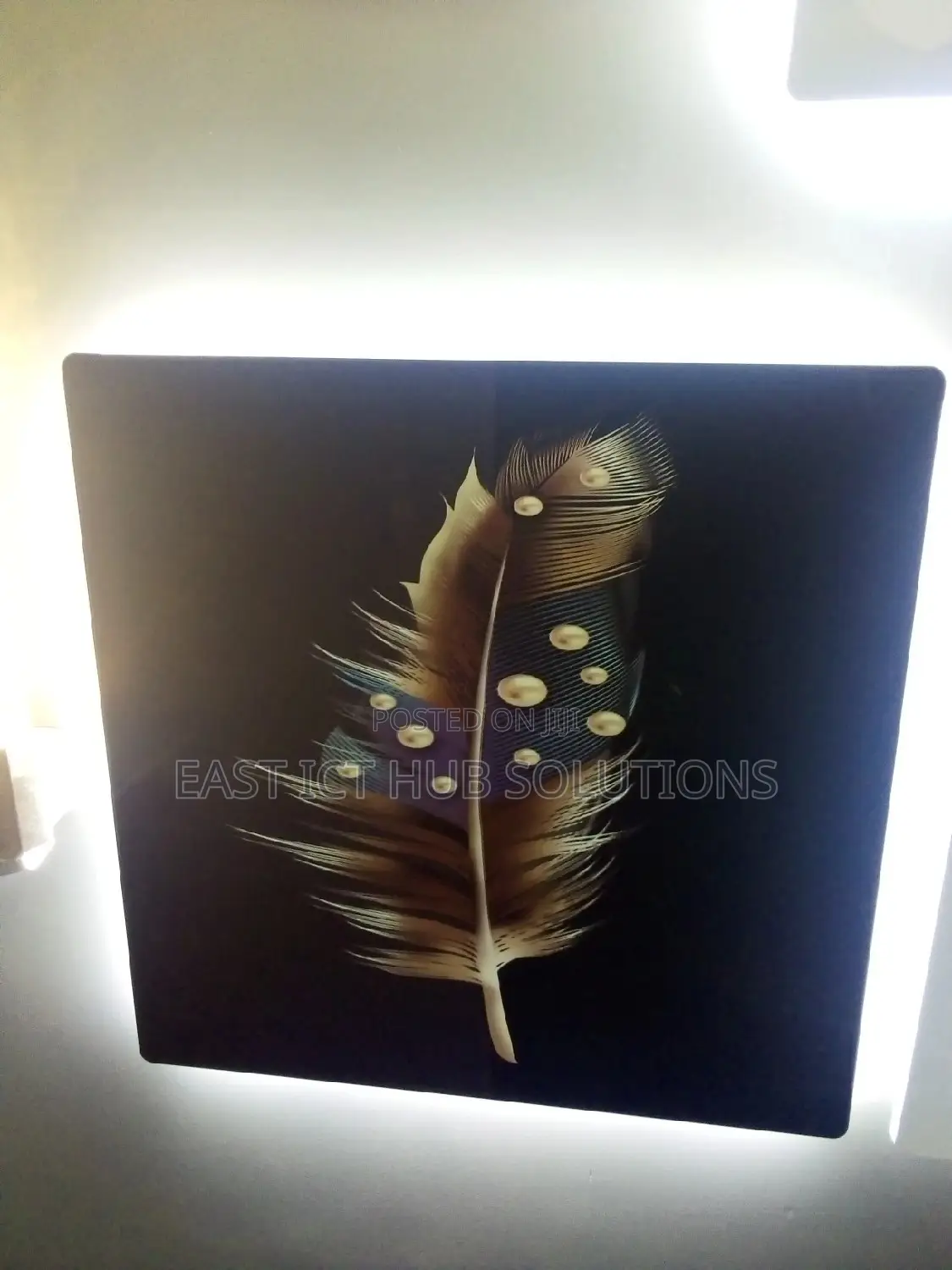 Premium Photos Mounts With Backlit Light