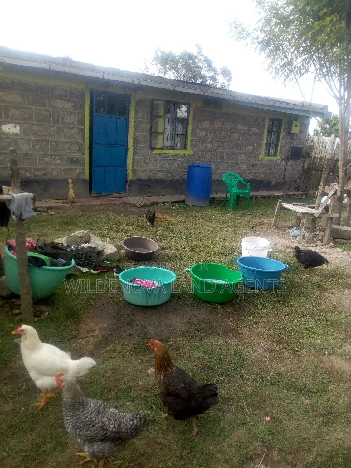 1/8 Plot On Sale At Flyover Kinangop