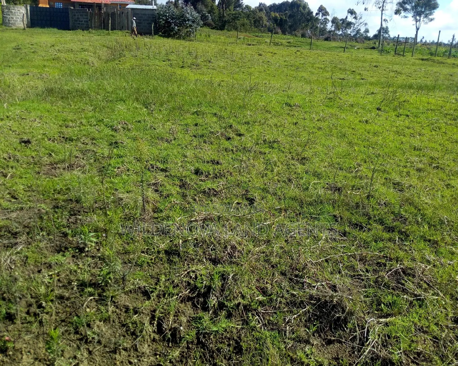 100*100 Plot on Sale at Magumu Kinangop