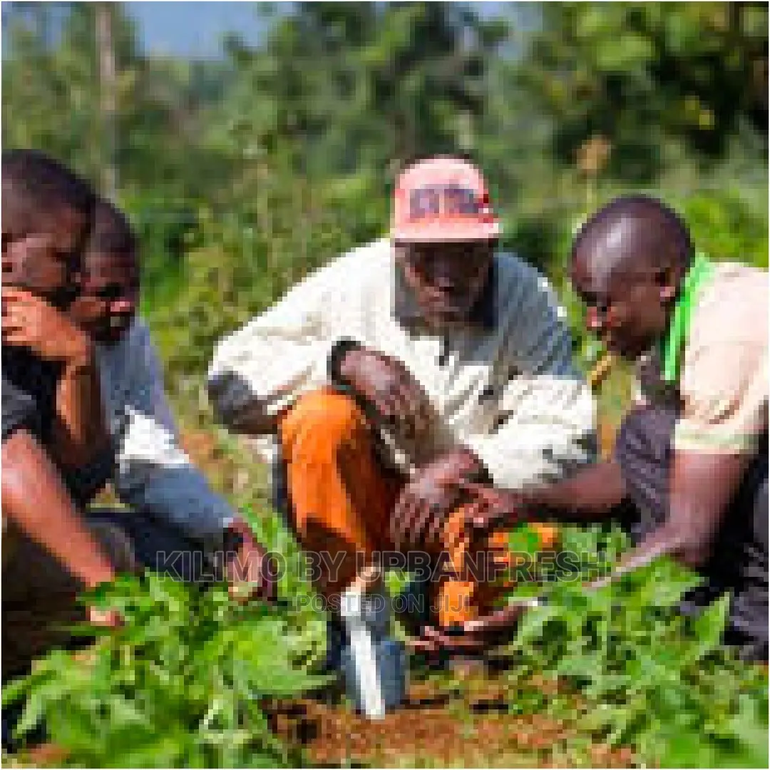 Soil Testing & Analysis