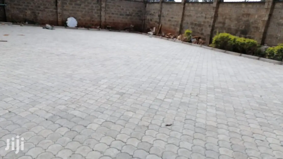 High Quality Paving Blocks/ Cabros