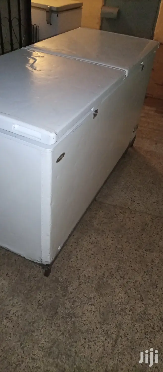 Big Double Door Freezer