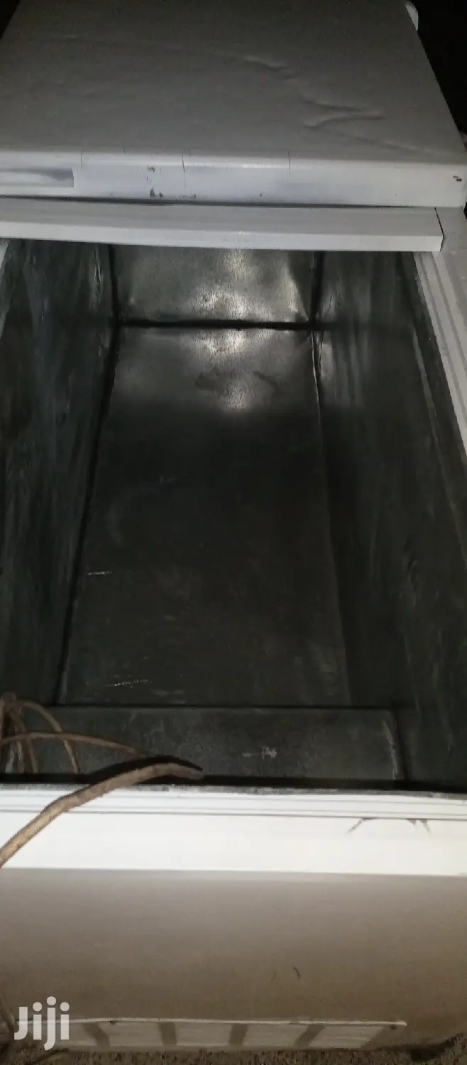 Big Double Door Freezer