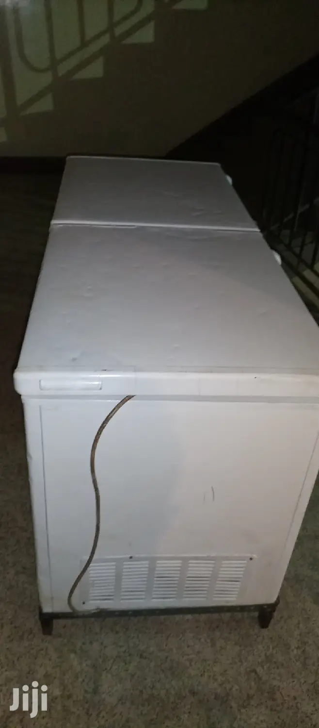 Big Double Door Freezer