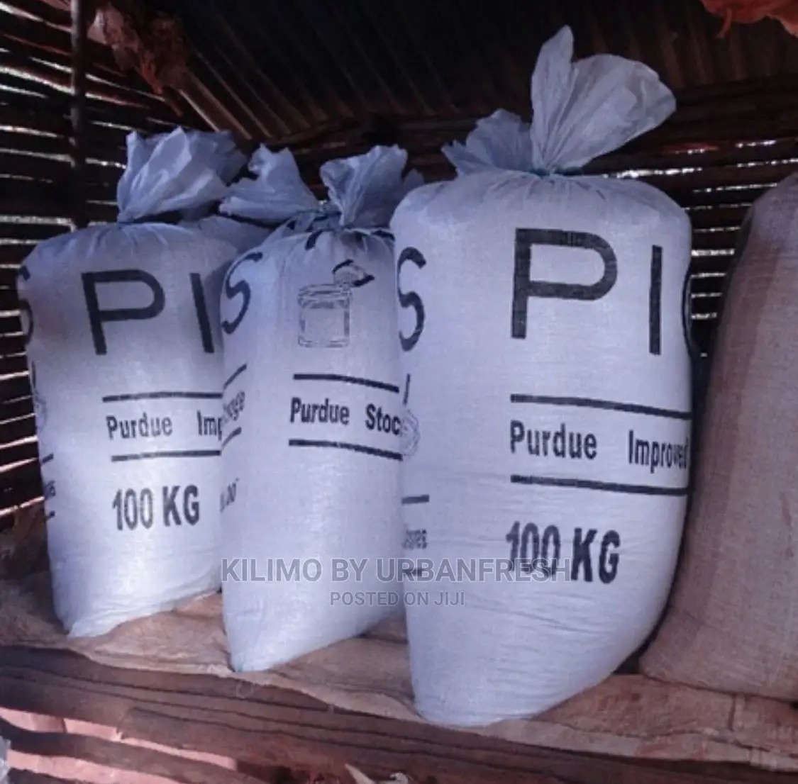 Hermetic Grains / Cereals Dry Grains Storage Bags 10 PCS