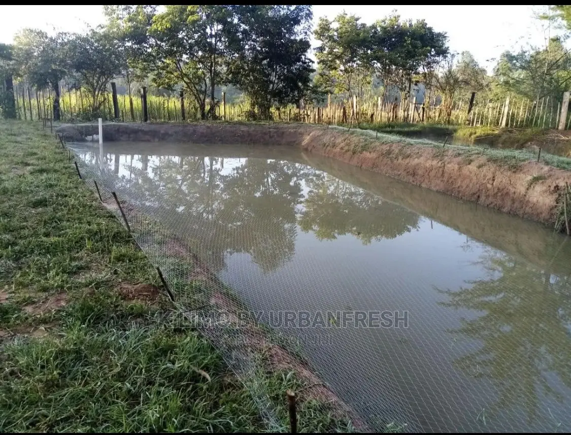 Birdnets 200sqm / 300sqm / 600sqm for Fruit Trees or Ponds