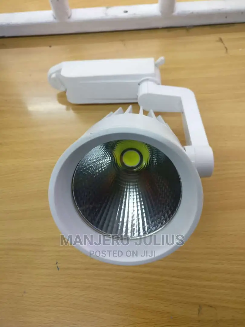 30wrt Led Spotlight