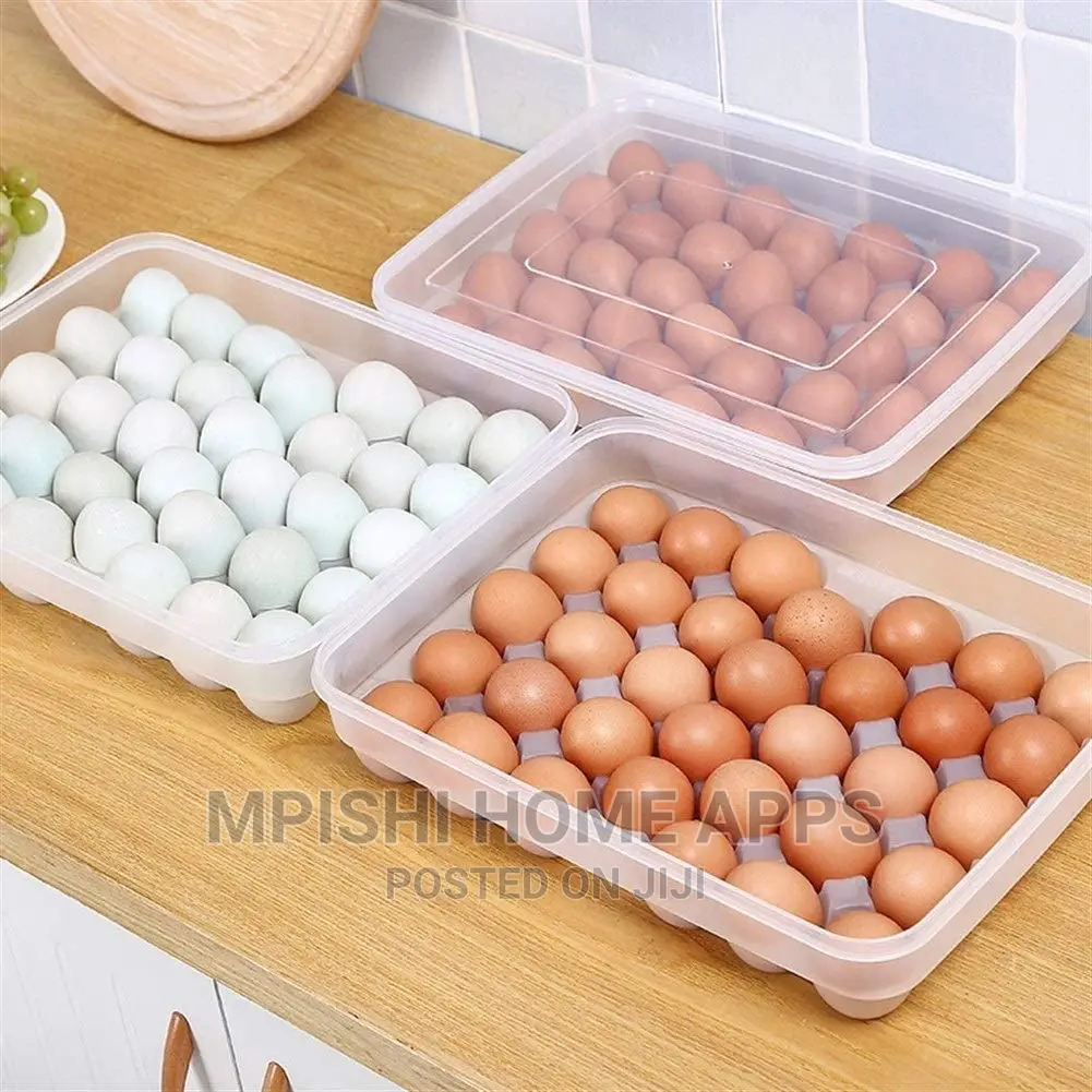 Eggs Storage Containers 30pcs
