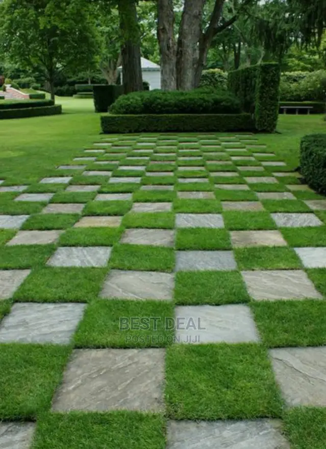 Artificial Grass Carpet