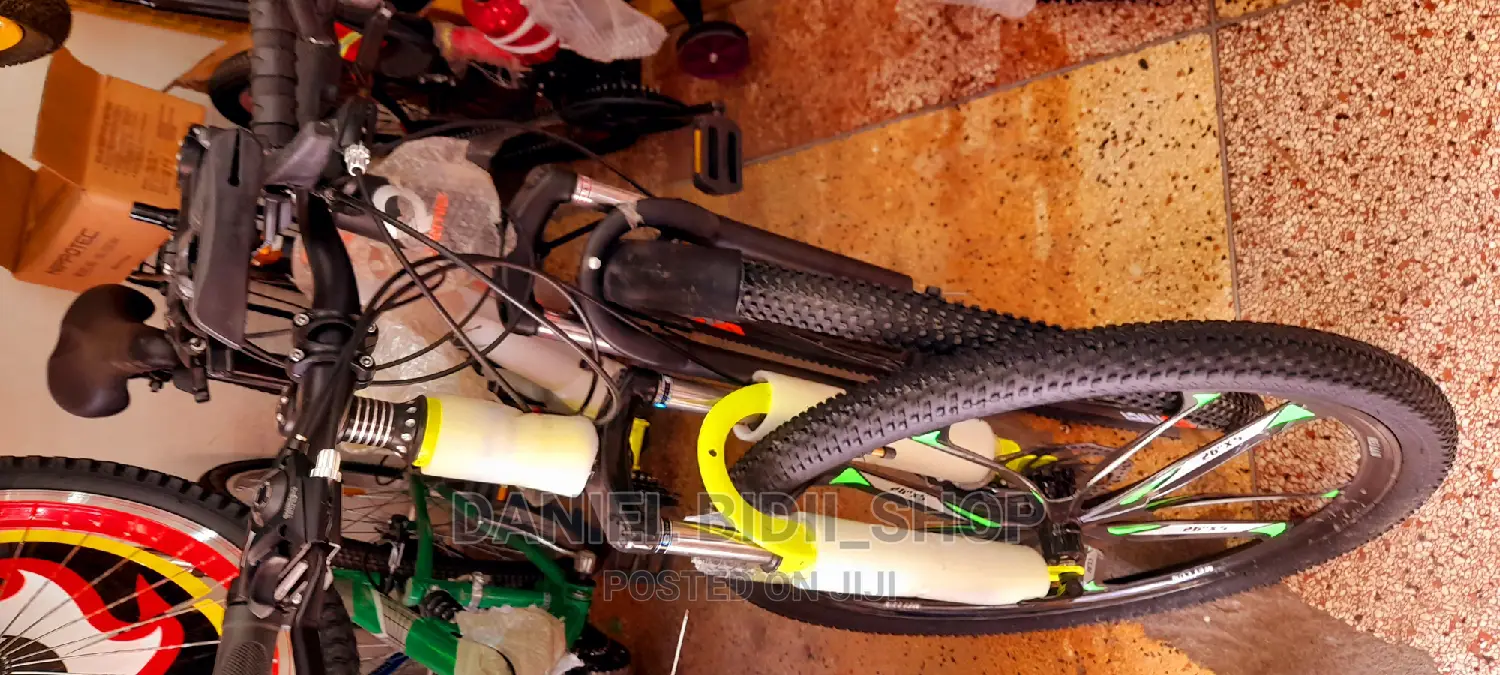 Premier Bicycle Size 26