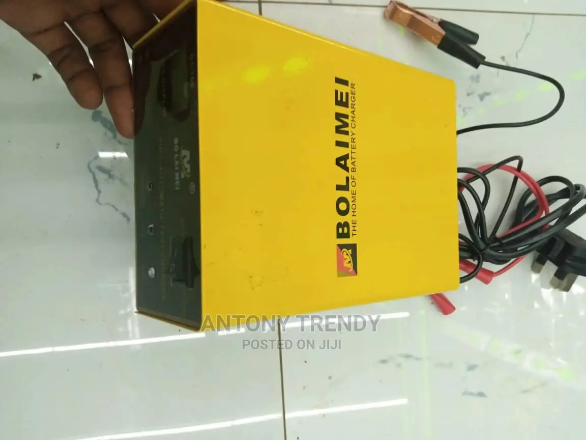 Generic Car Battery Charger - BLM 168