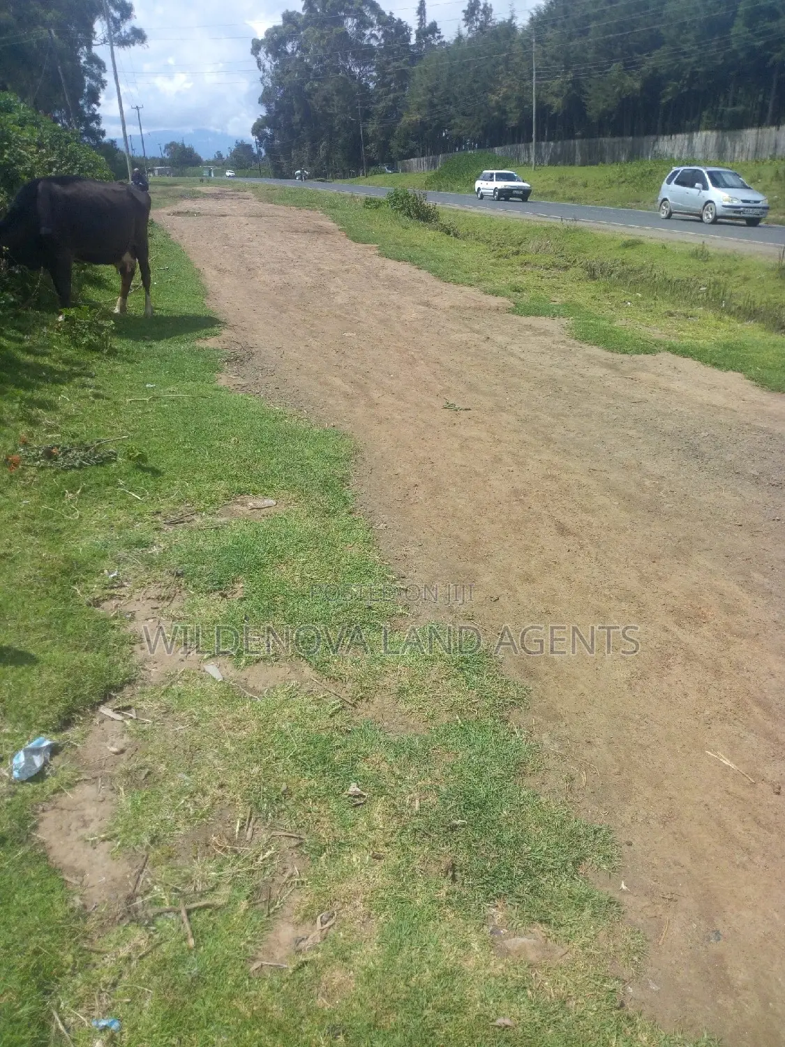 50*100 Plot on Sale at Kanyua Kinangop