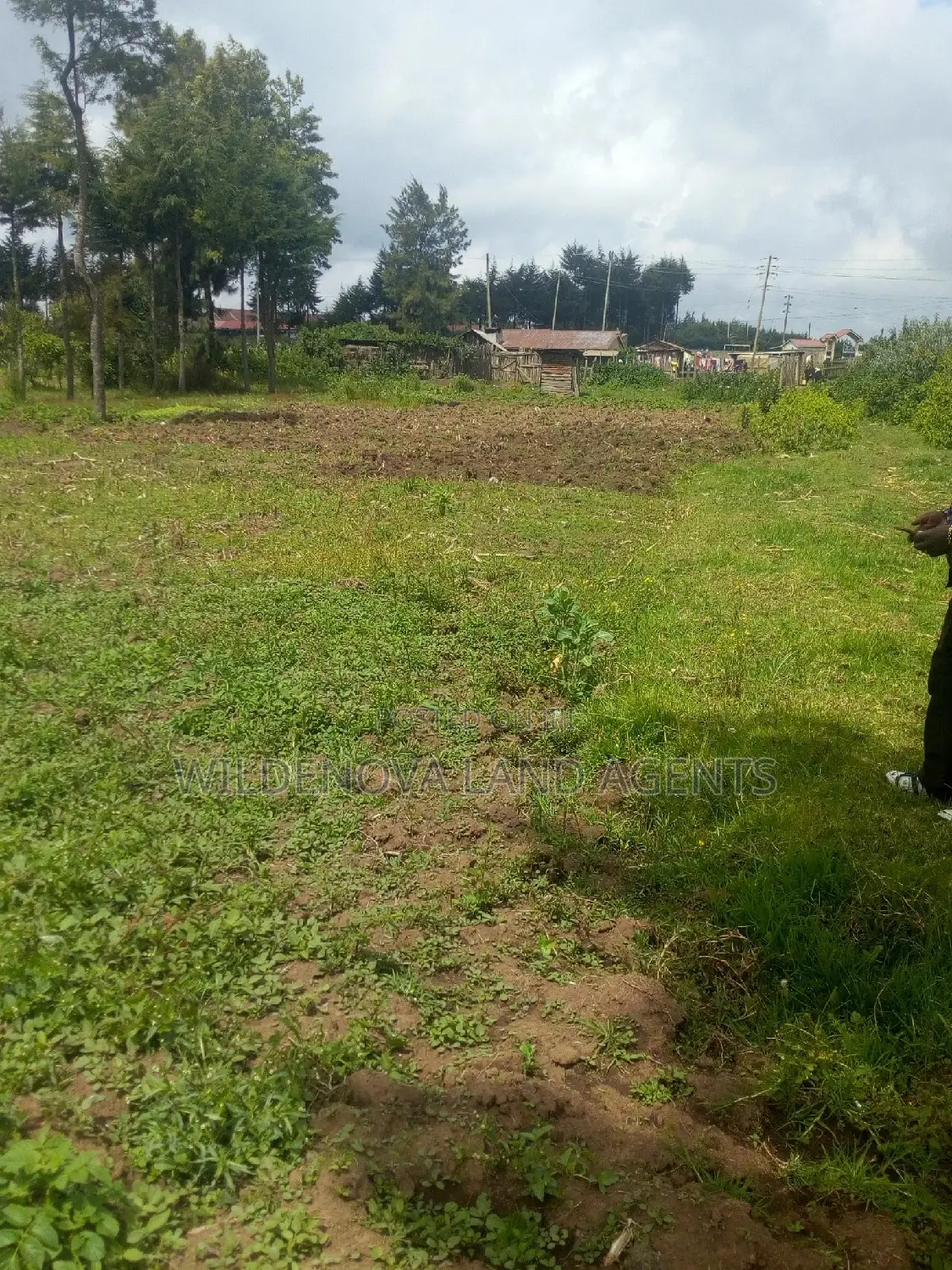 50*100 Plot on Sale at Kanyua Kinangop