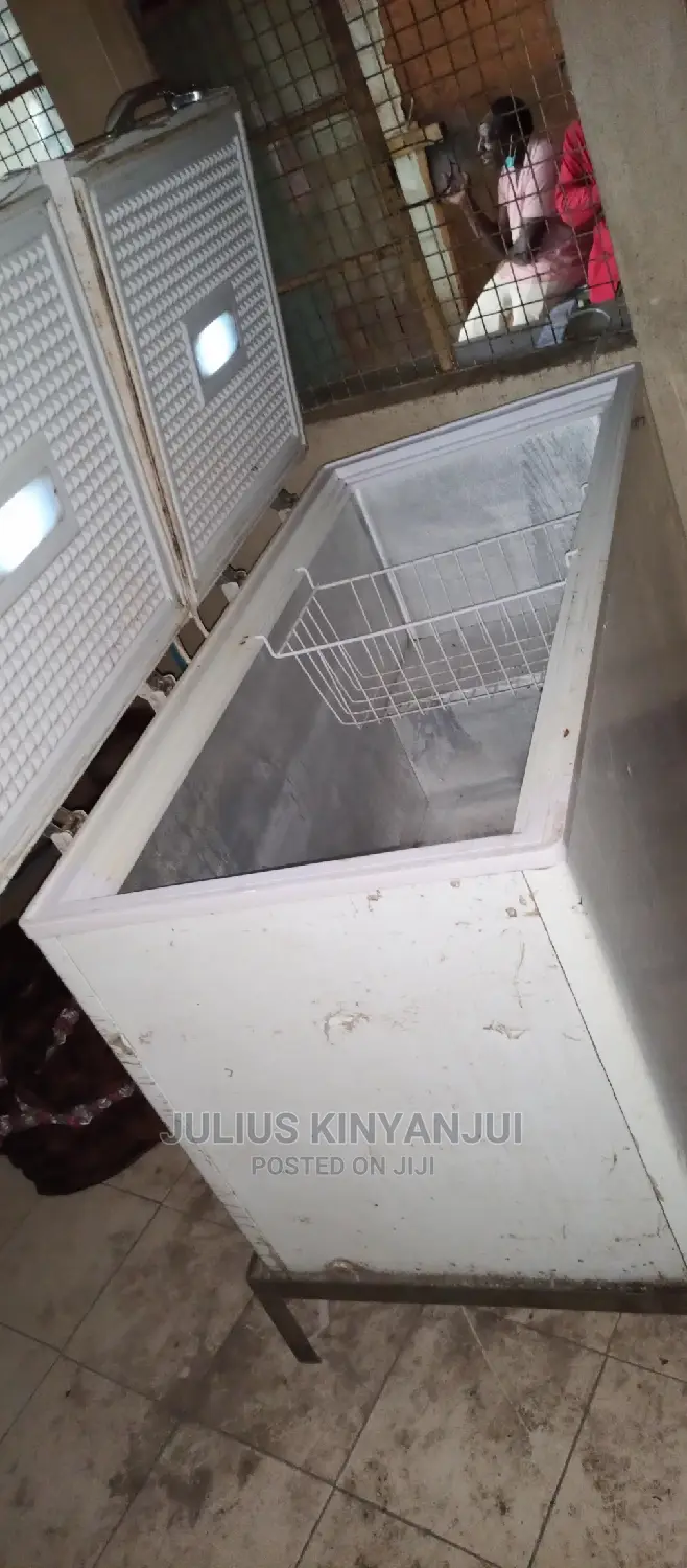 Deep Freezer Double Door