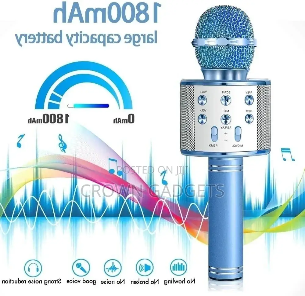 Easy to Use WS 858 Wireless USB Microphone