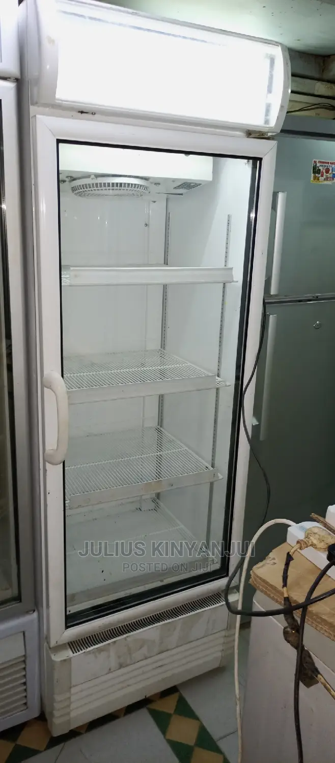 Display Bottle Cooler 450L