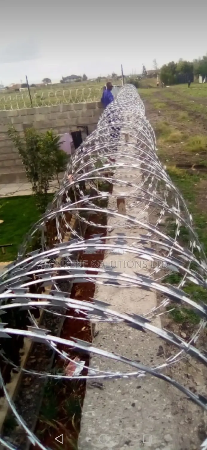 Silver Razor Wire 450mm