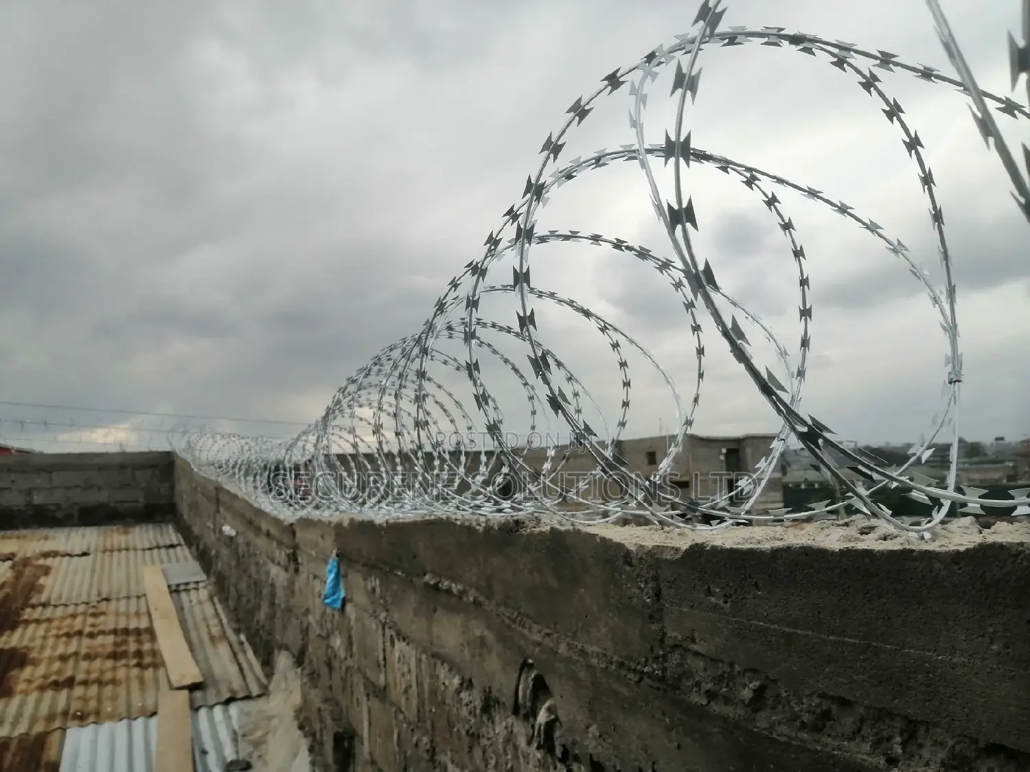 Silver Razor Wire 450mm