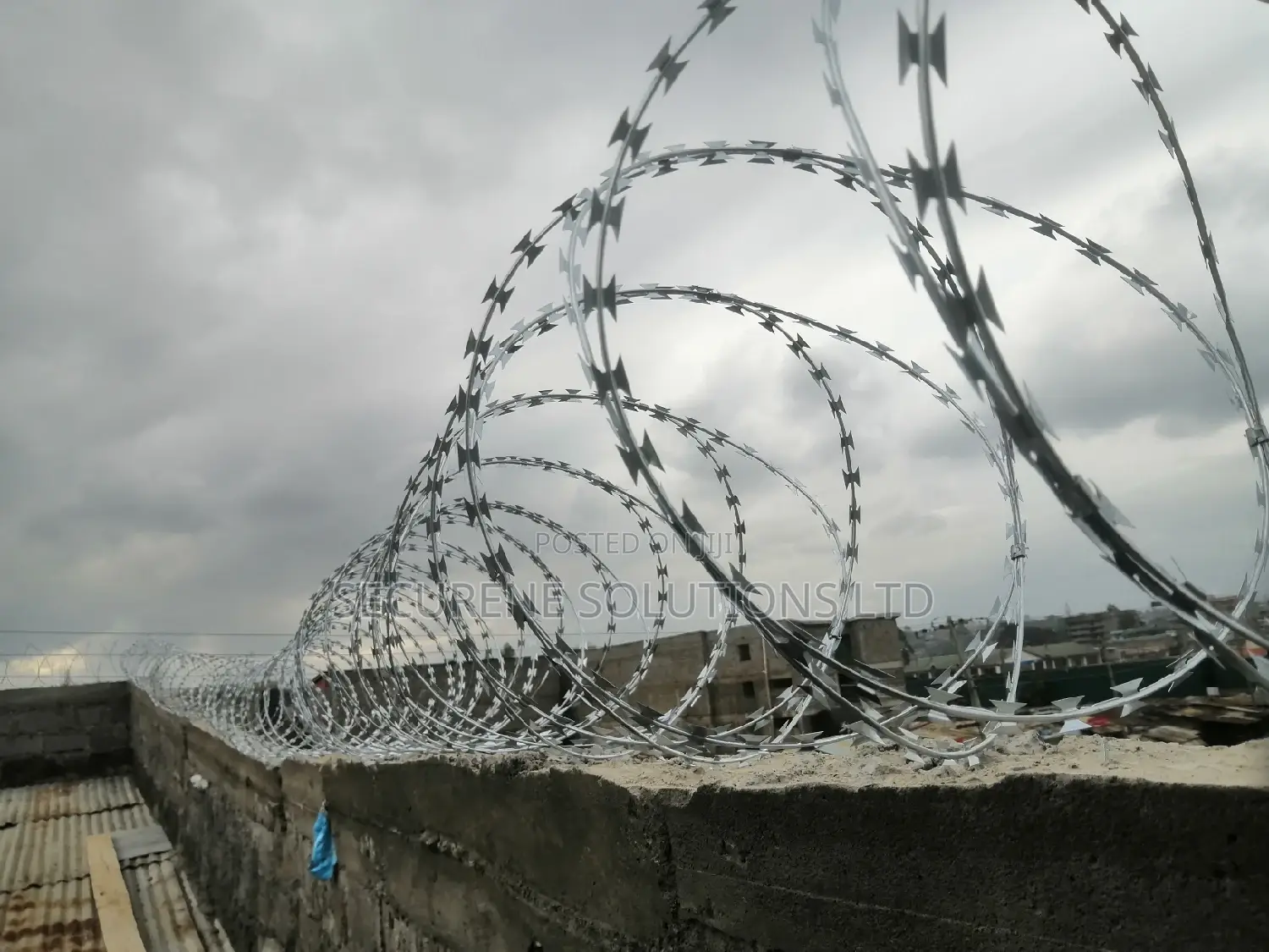 Silver Razor Wire 450mm