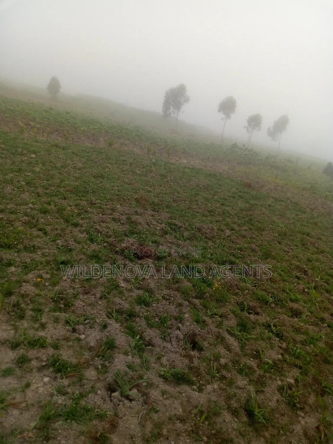 Land on Sale at Flyover Along Nairobi Nakuru Highway
