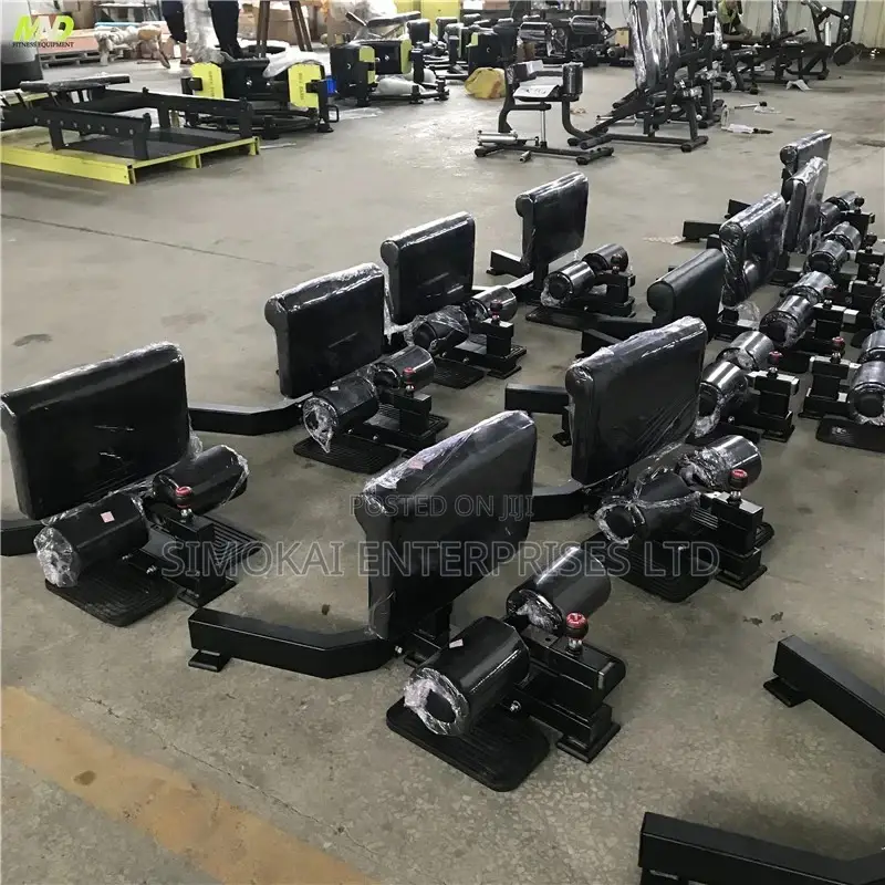 Sissy Squat Machine Gym Station