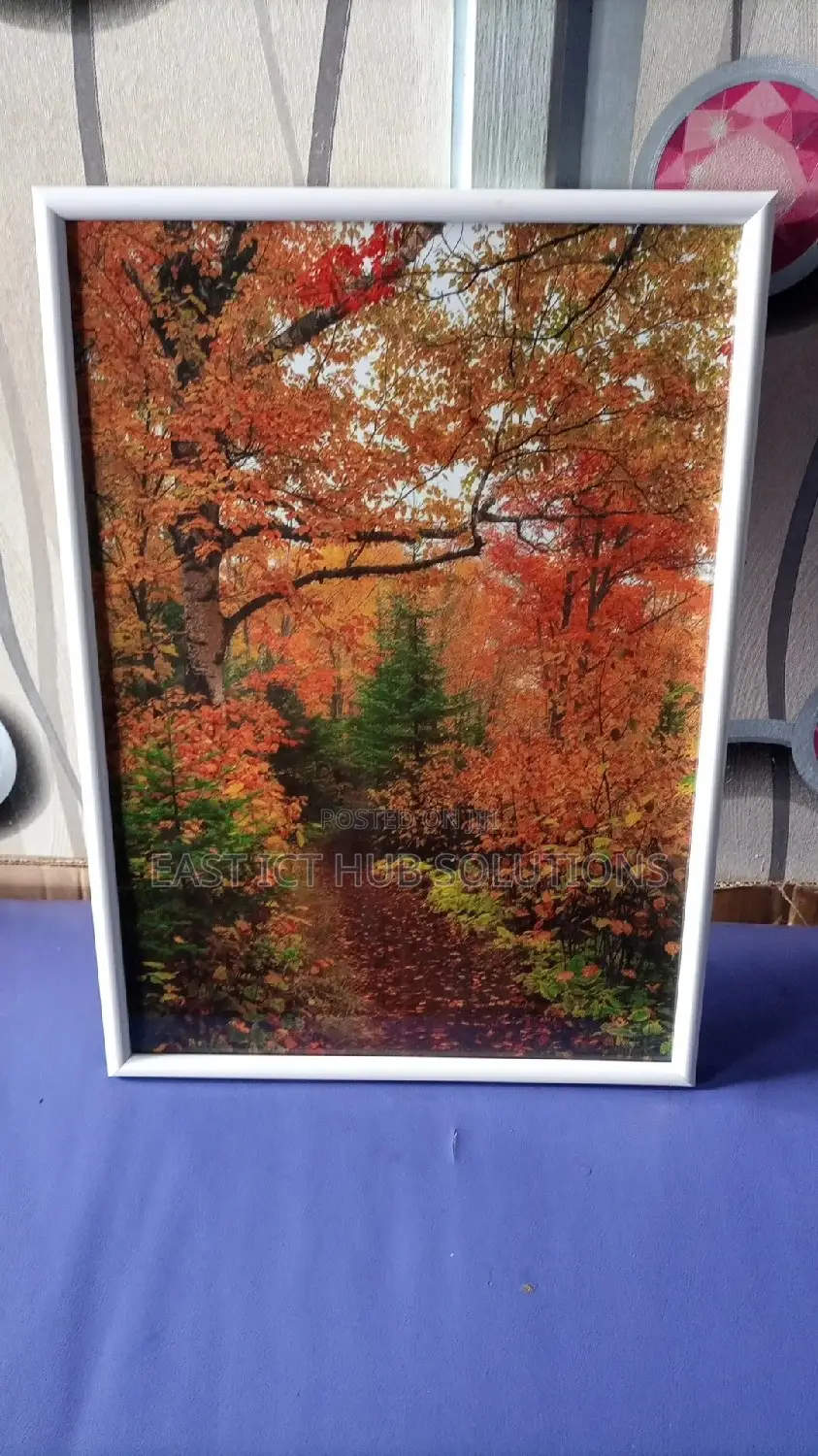 Nature in HD Framed. Classic Photo Frames Imports