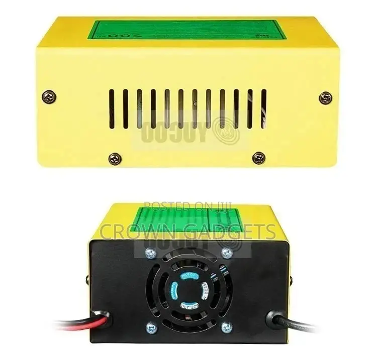 Smart Electric Car 200ah Dc 12v/24 10A Battery Charger