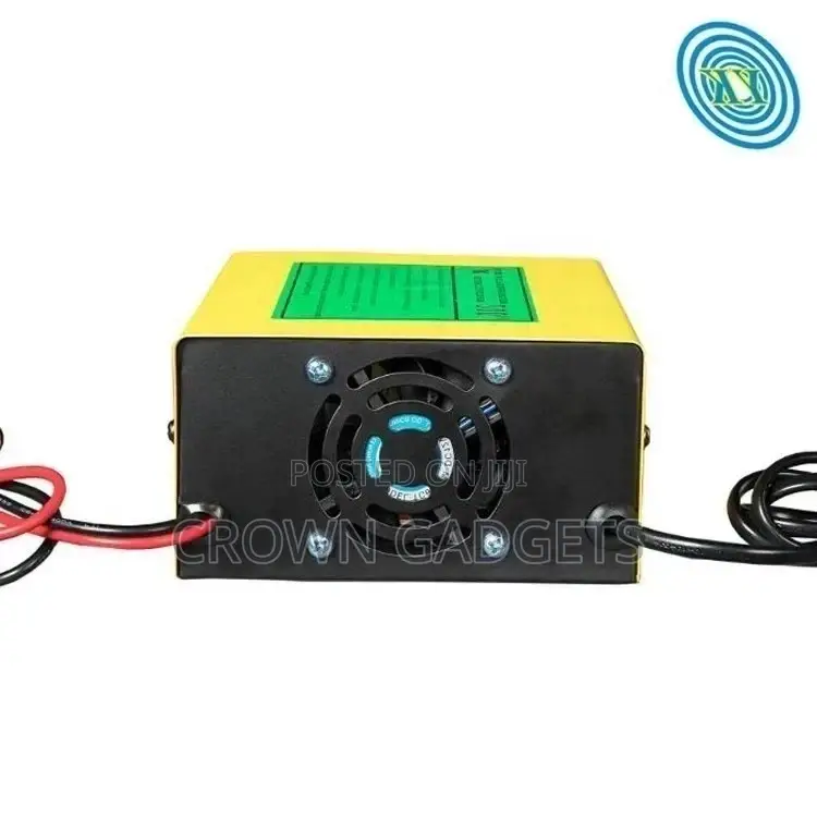 INTELLIGENT Pulse Car Battery Charger 150v/250v to 12V 24V