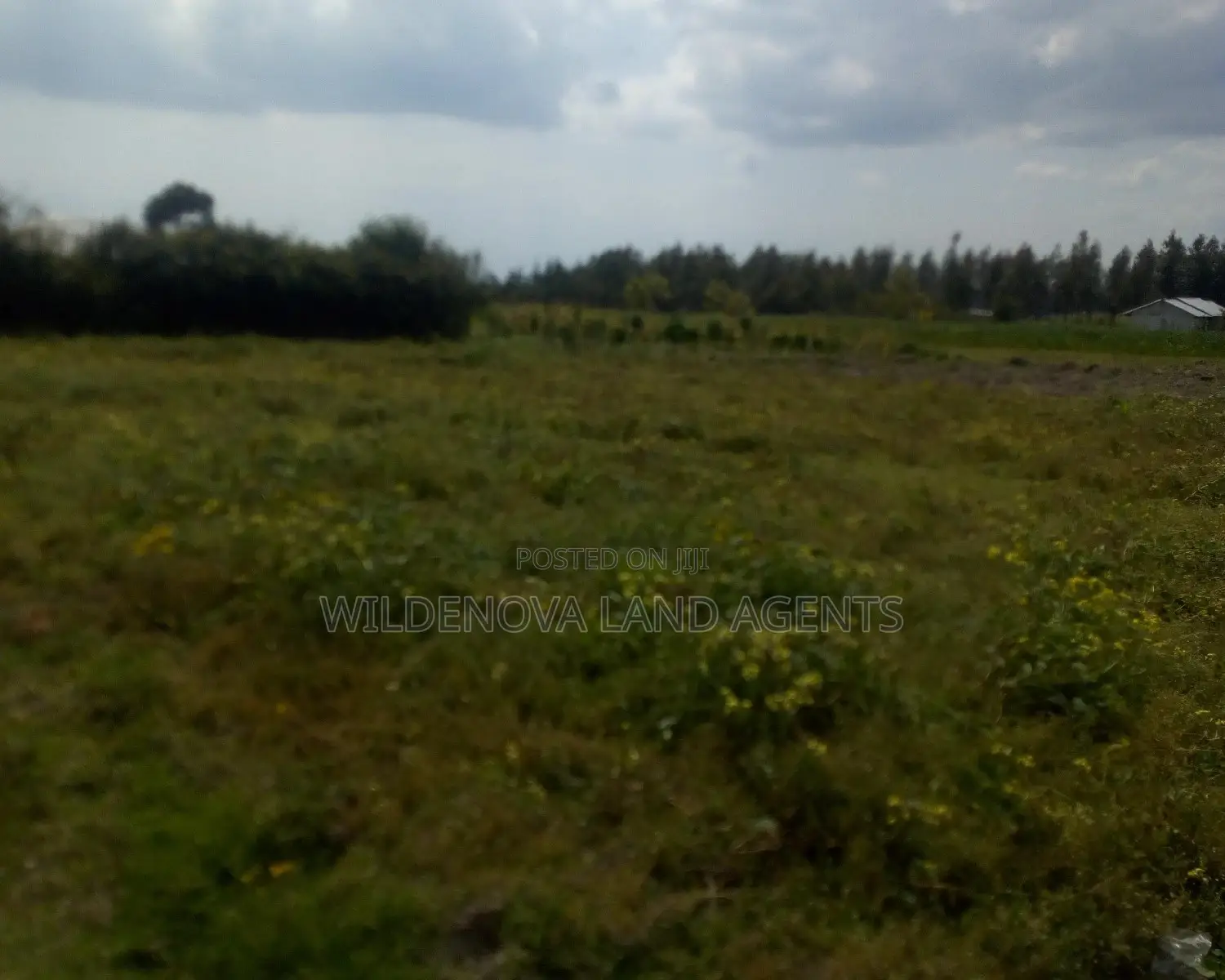 1/4acre on Sale Heni Kinangop Near Karuru