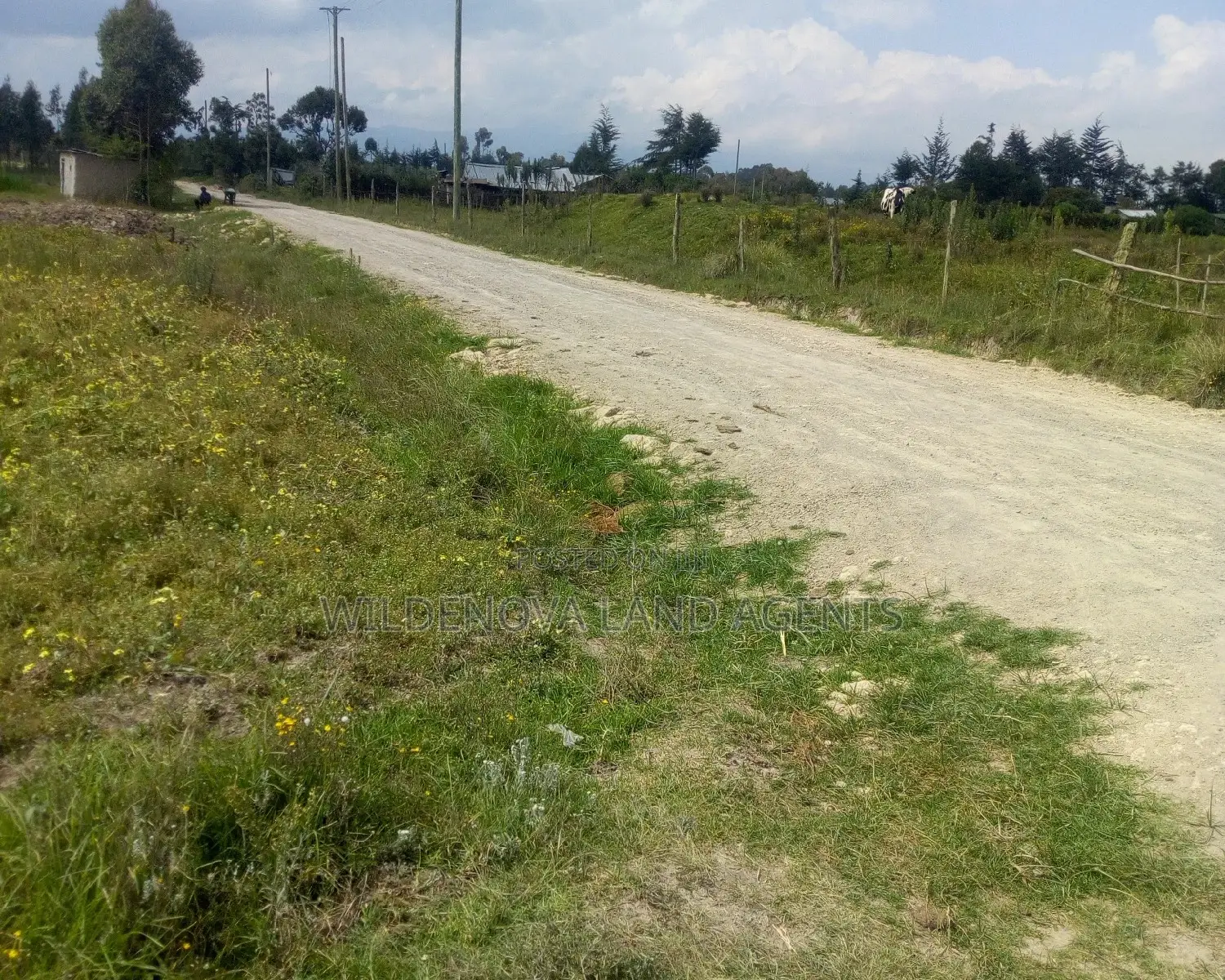 1/4acre on Sale Heni Kinangop Near Karuru