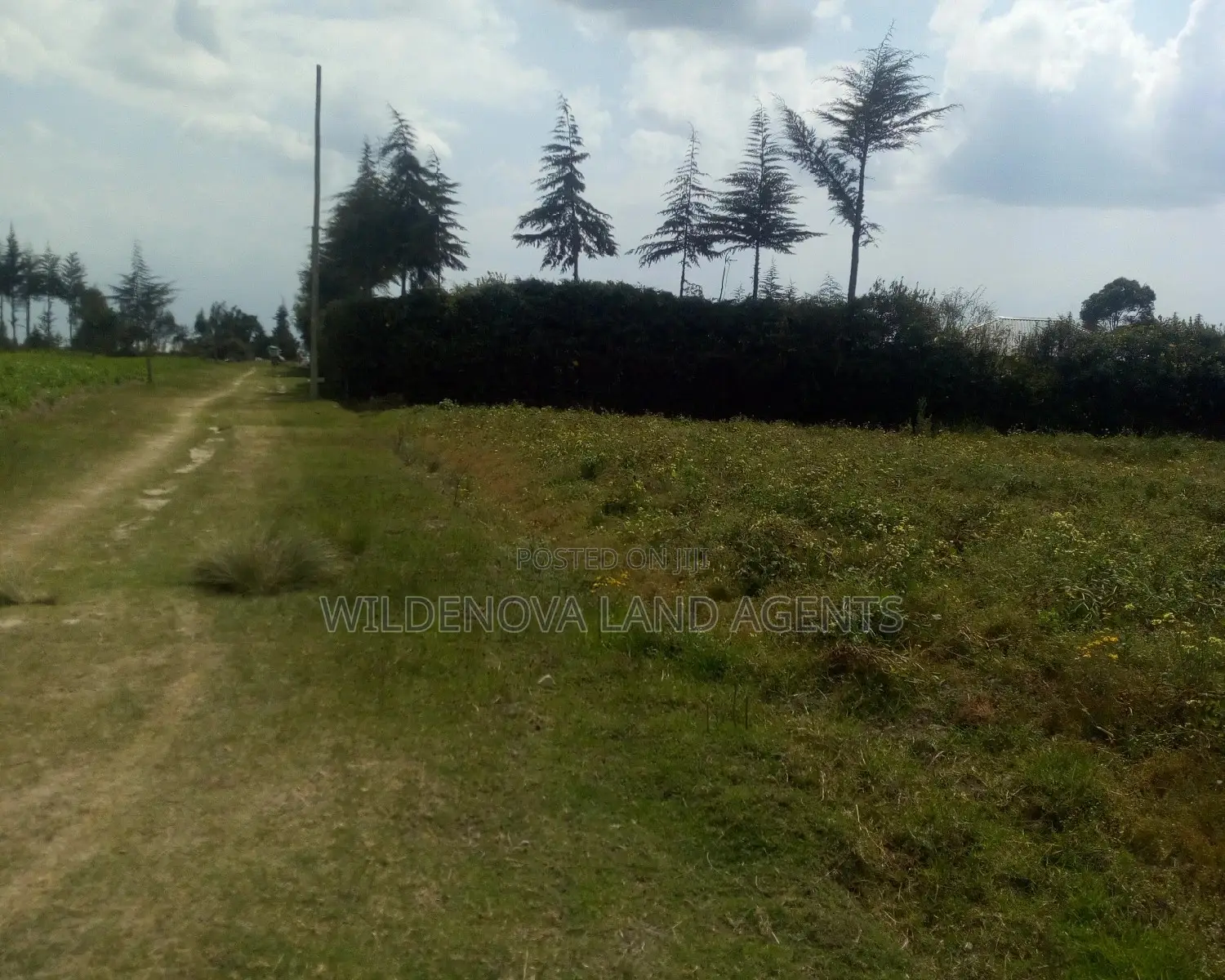 1/4acre on Sale Heni Kinangop Near Karuru