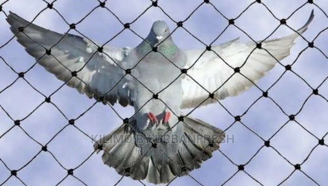 Birdnet 200sqm.
